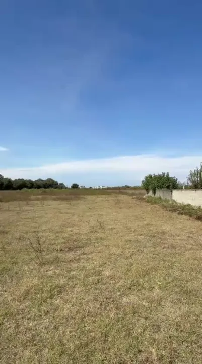 Shiten 12 dylym tokë në Xhafzotaj, ndahet në 2 parcela — video