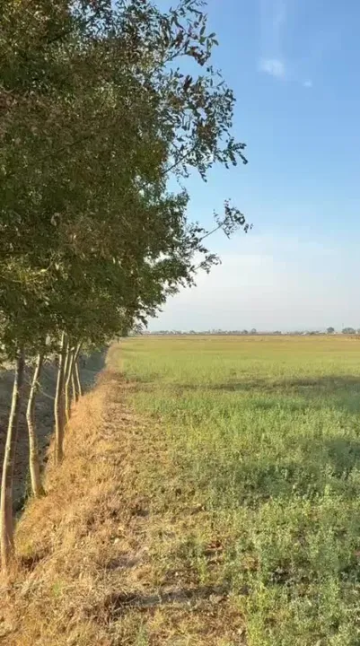 Shitet tokë 45 dylym në Fllakë, pranë 4 Rrugëve — video