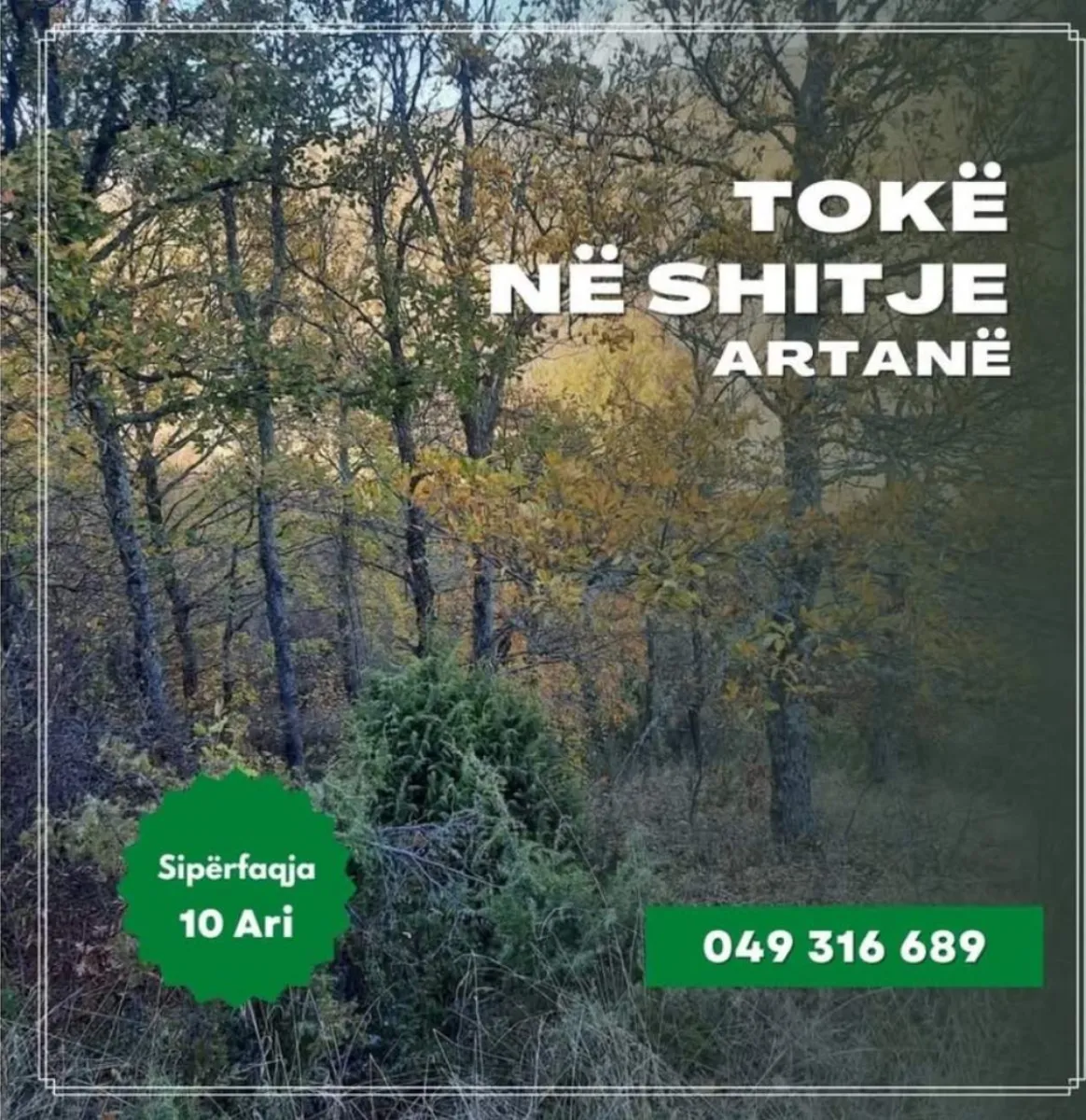 Tokë në Artanë - Novobërdë - Foto 1