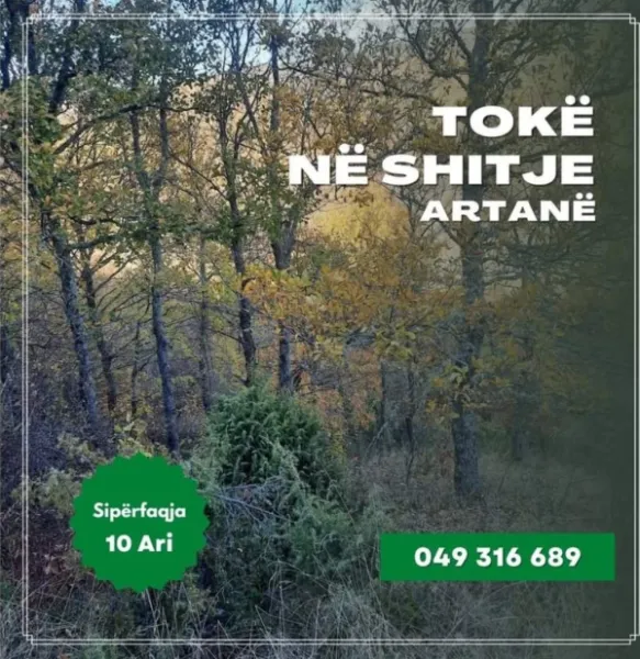 Tokë në Artanë - Novobërdë