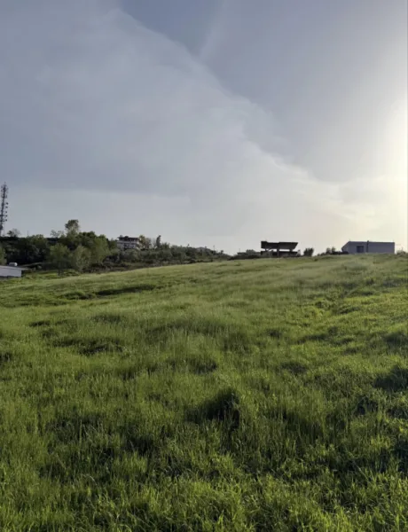 Shitet 7 dylym tokë në Arapaj Durres