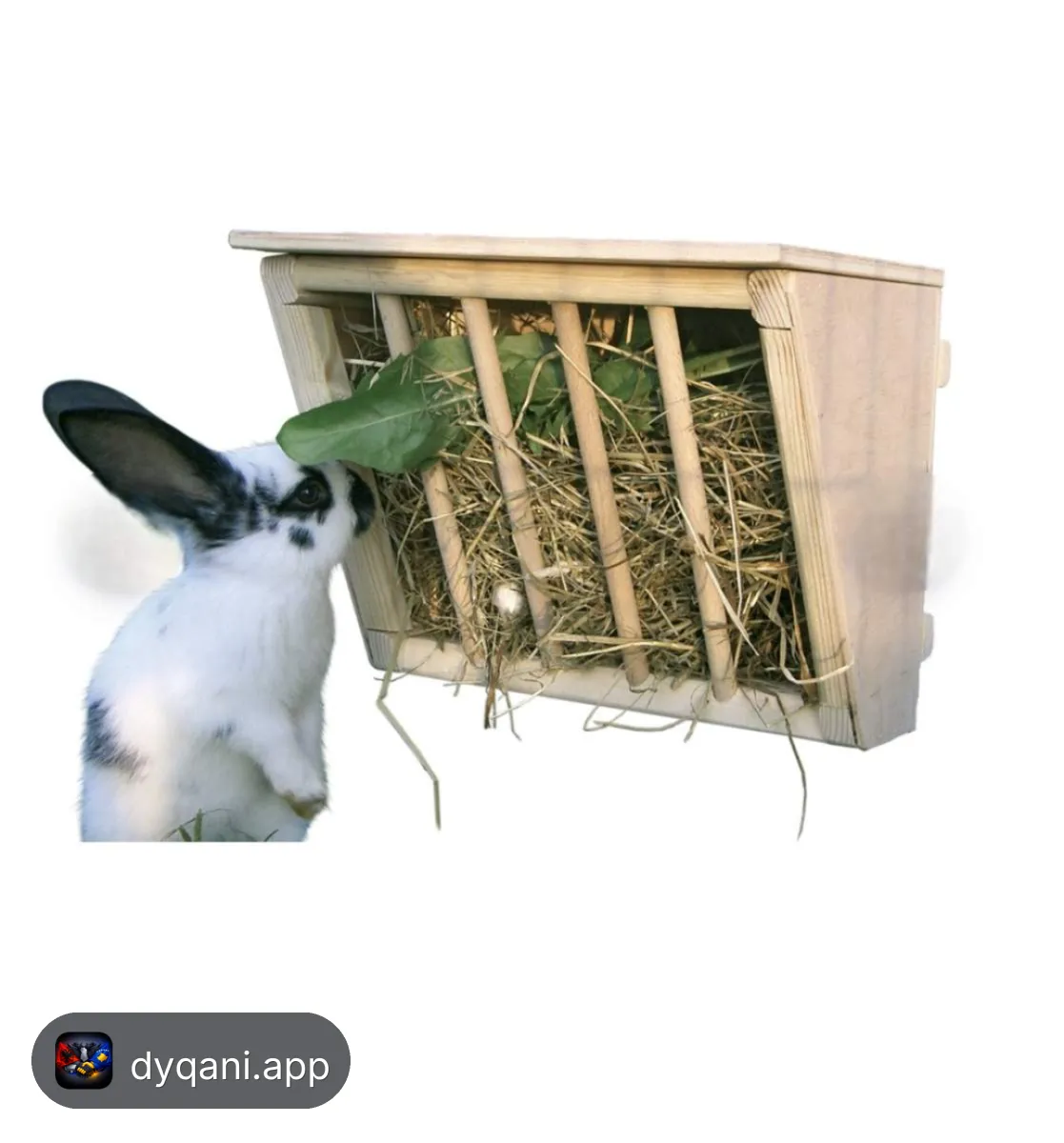 Shitet Raft druri për sanë – 10€ – Prishtinë – I ri — Prishtinë - Foto 4