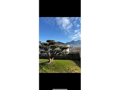 Vilë Moderne me Qira në Paskuqan – 3,200€ – Tiranë — Tiranë - Foto 3