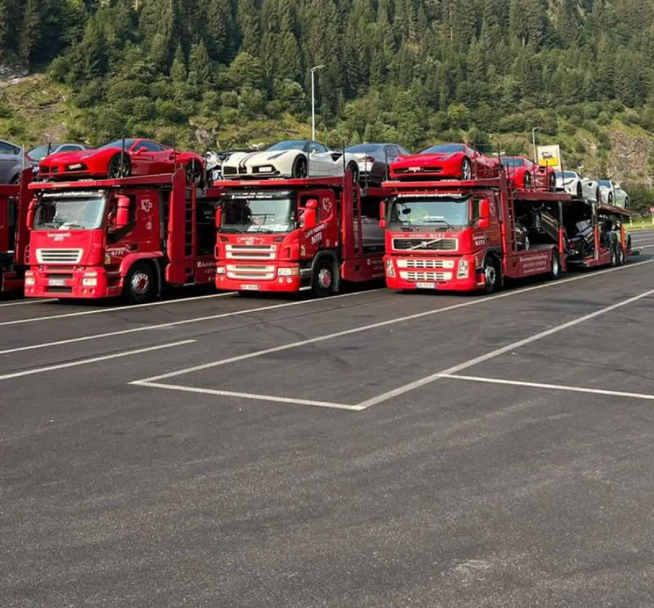 Niti transport Zvicer-Shqiperi-Kosove - Foto 3