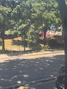 Jepet Me Qira Dyqan 100 M² – 1,500€ – Tiranë – Si i ri — Tiranë - Foto 5