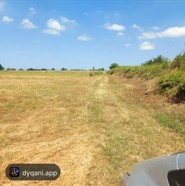 Shitet 5 dylym tokë 5000 m² 50 metra – 75€ – Durrës — Durrës