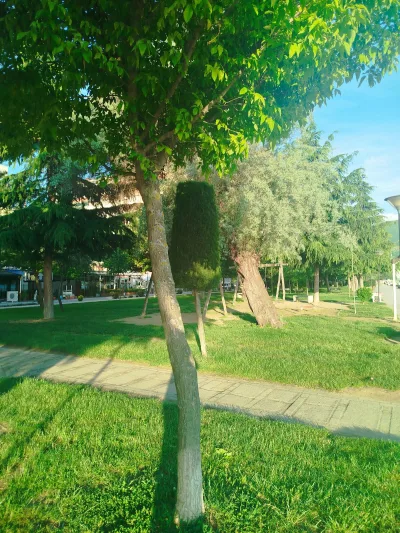 Dëshmorët e Pojskës