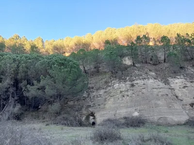 Gjyshaj