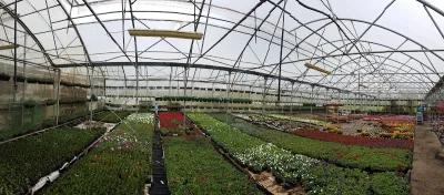 Garden Center AGROCOOP