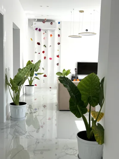 Home DeLuis