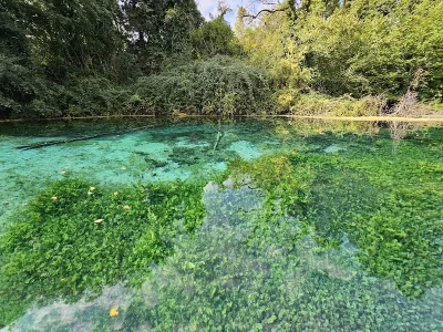 Enjoyable Sight Of Springs