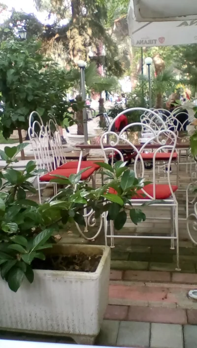 Bar Restorant El Dorado Berat