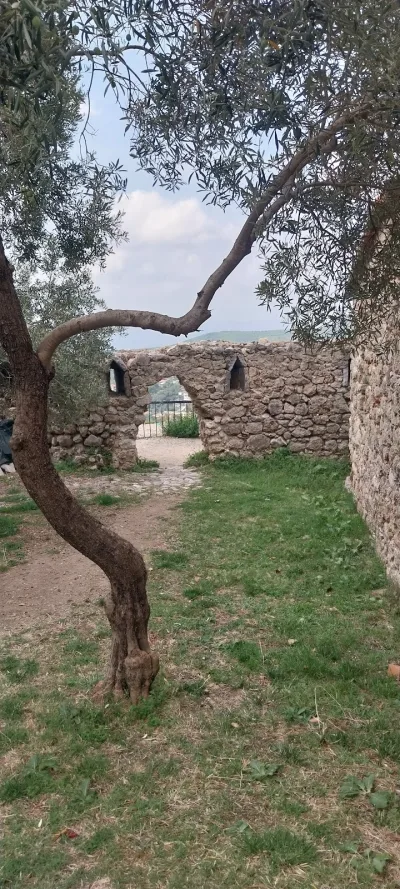 Old Well
