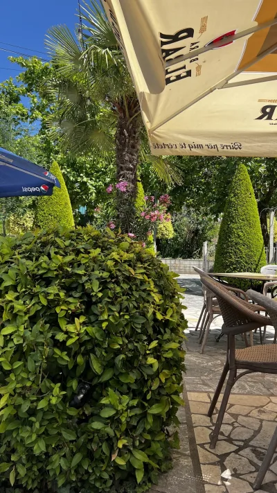 Restorant Piceri Sopoti