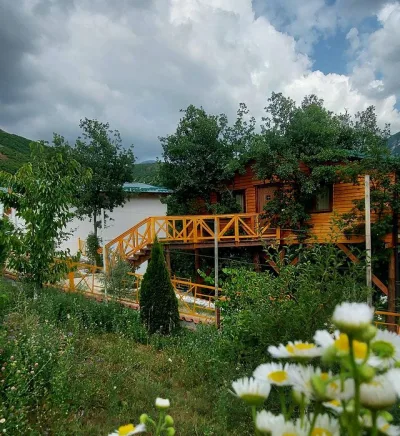 Kurora e Gjelbër
