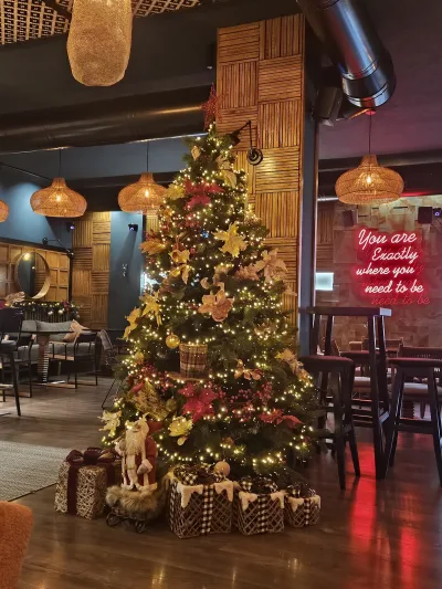 Bar cafe DoDo Lounge