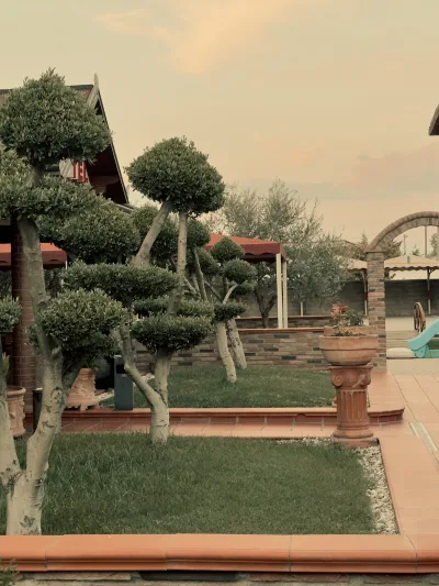 Drini Hotel