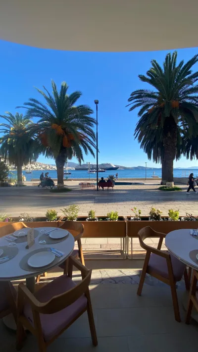 Restaurant Ari