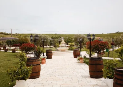Vinea Resort & SPA