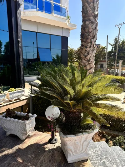 Hotel Fari