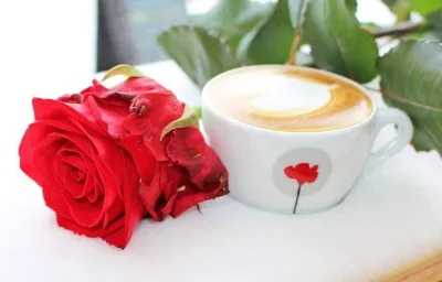 Caffe