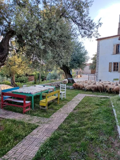 Shkolla Hostel