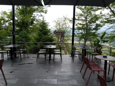 TARZANI Bar Restaurant Piceri