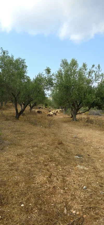 Ram Hill