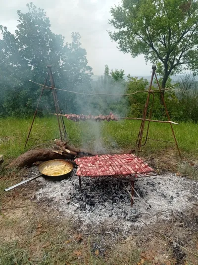 Kampe private