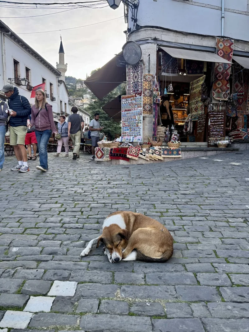 Gjirokastra: Qyteti i Gurit — Guida e Trashëgimisë UNESCO