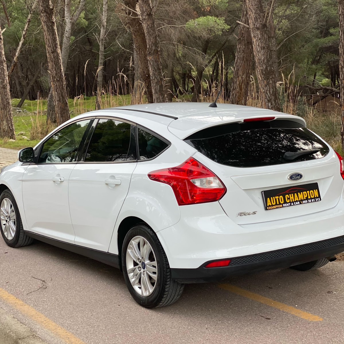 Champion Rental Car