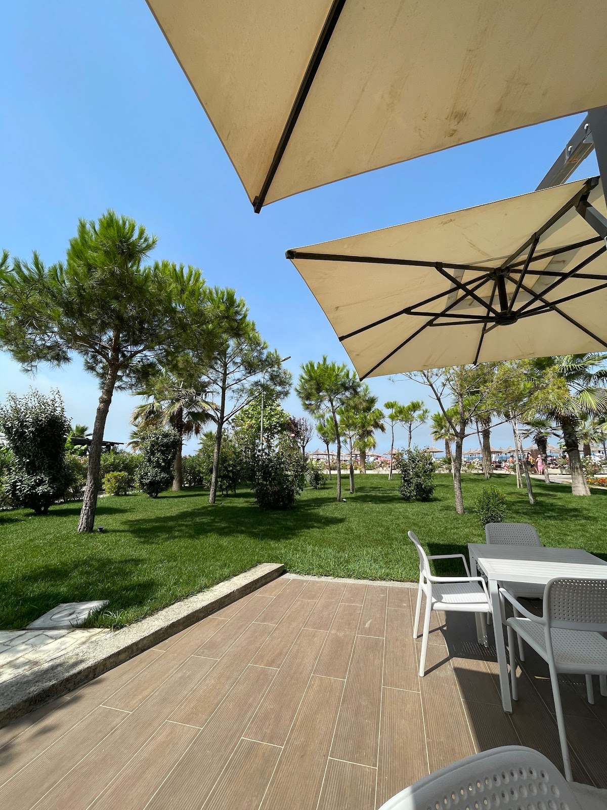 Borici Travel & Tours Balkan - Car Rental / Makina Me Qera Fier photo 2