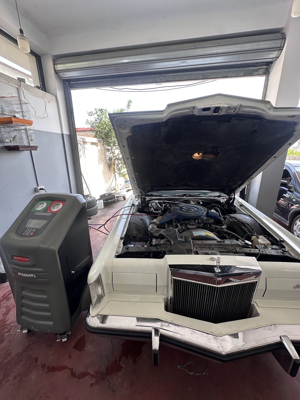 "Auto Koli" Rent A Car