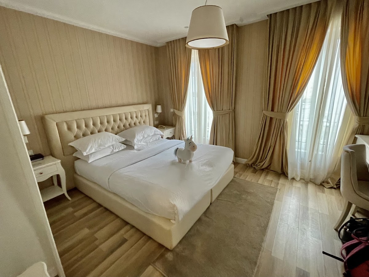 Palace Hotel & SPA photo 2