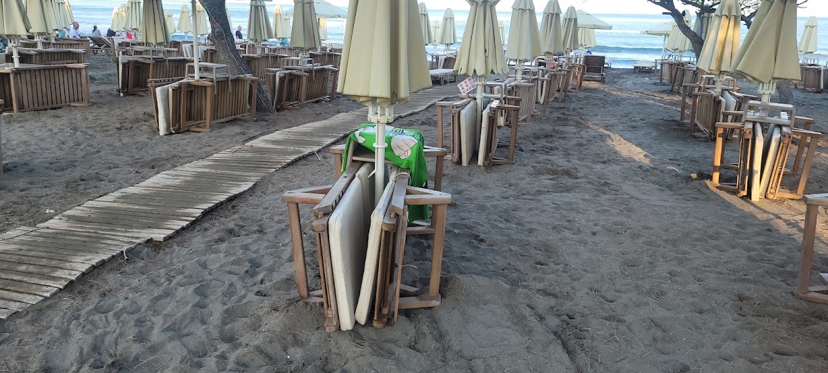 Rikki Beach photo 5