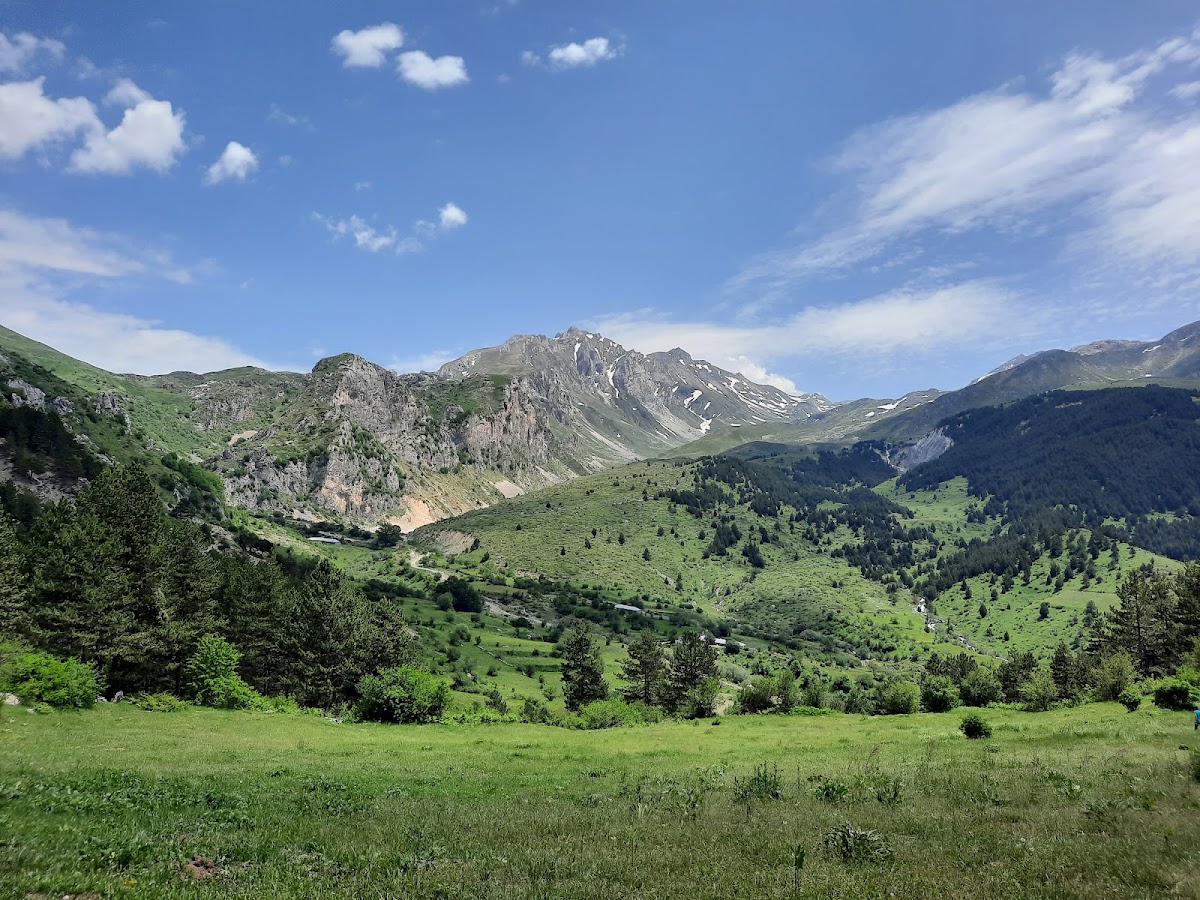 Radomira photo 2