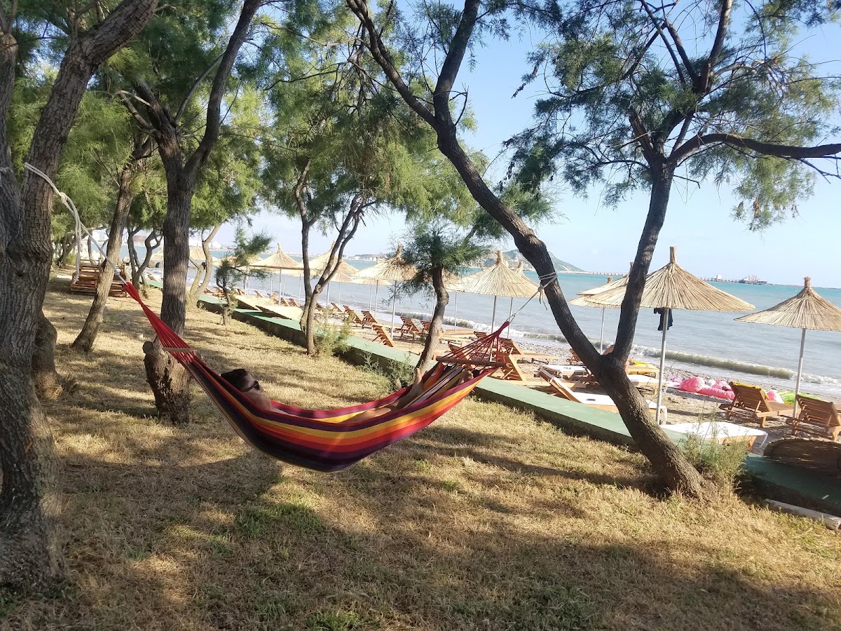 Ohana Beach photo 4