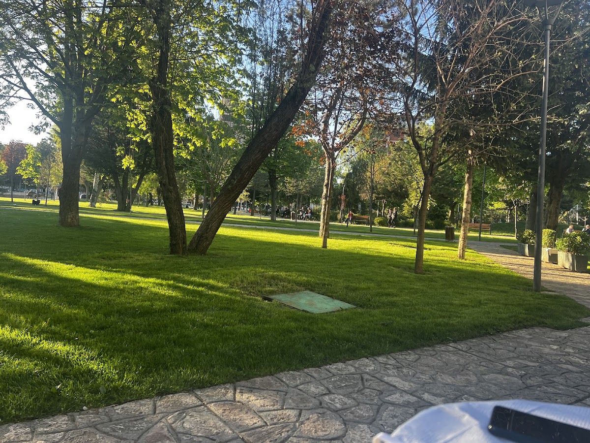 ZGARA VENEZIA photo 5