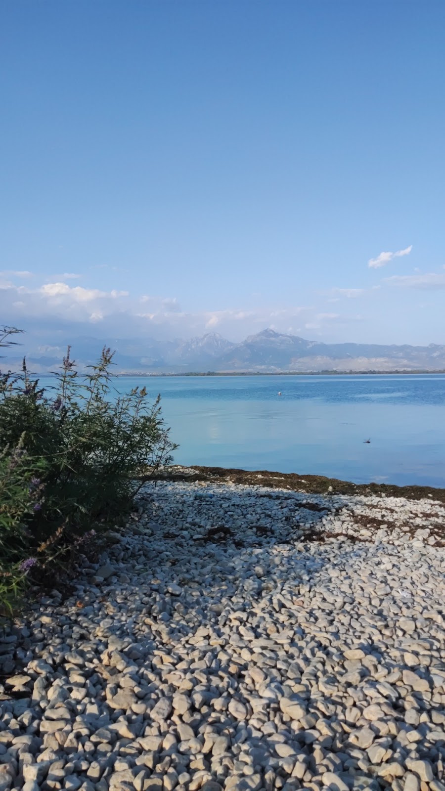 Beach Spot - Zalli i Vogël, Shirokë photo 2