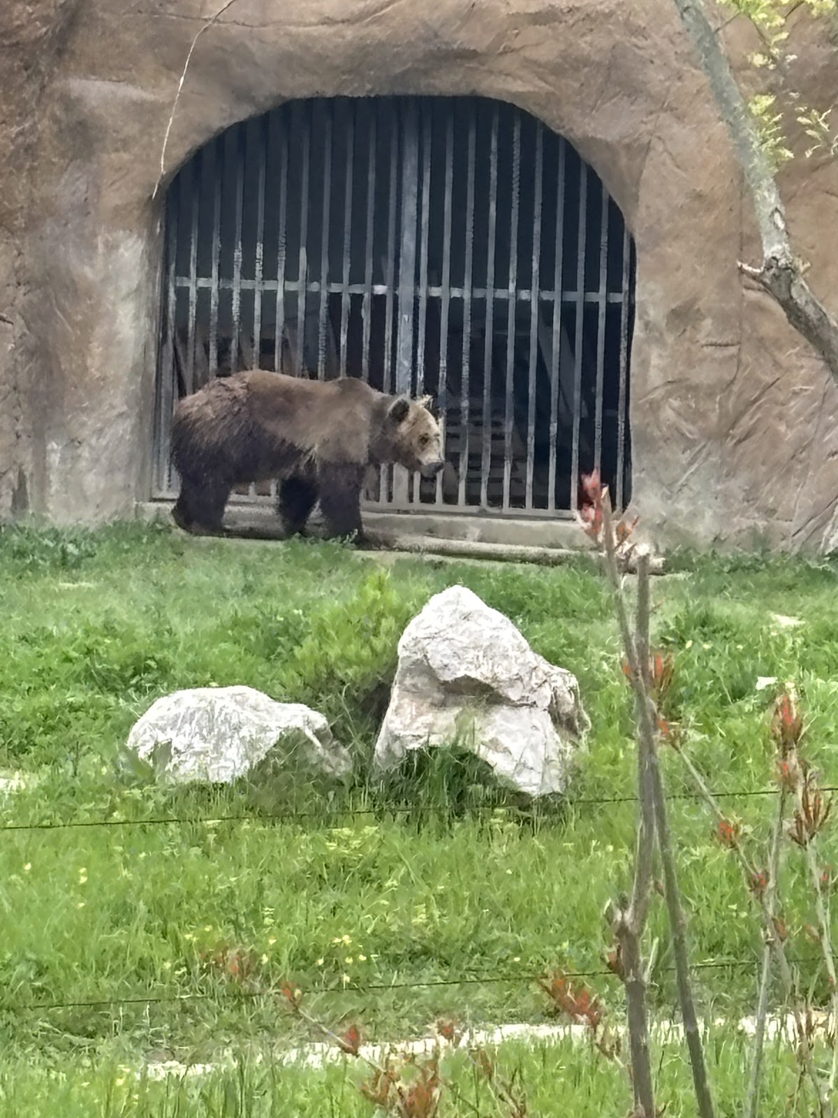 Parku Zoologjik i Tiranës photo 2