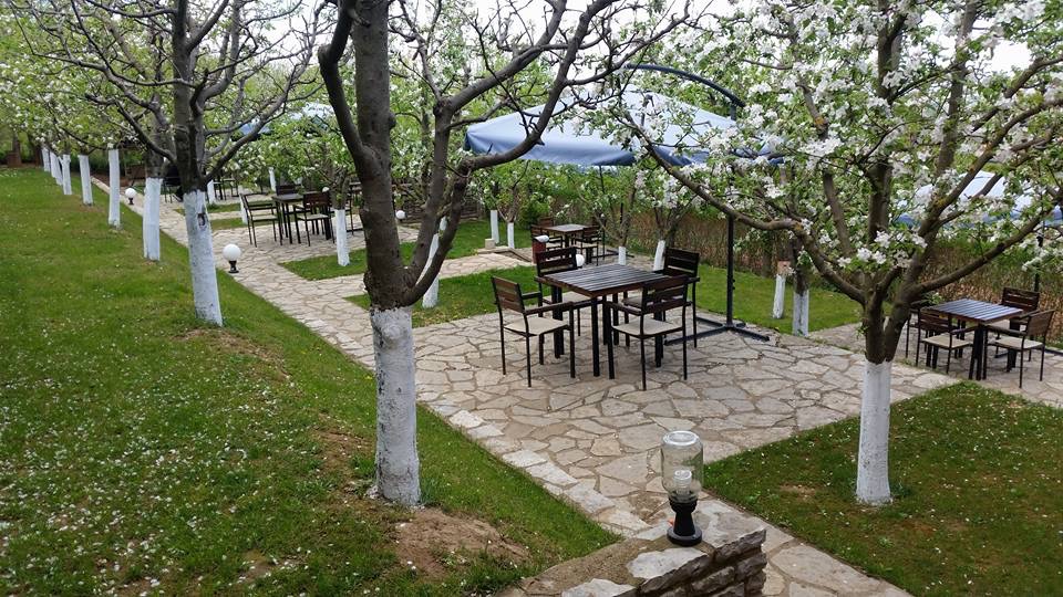 Restaurant Villa Saja photo 2