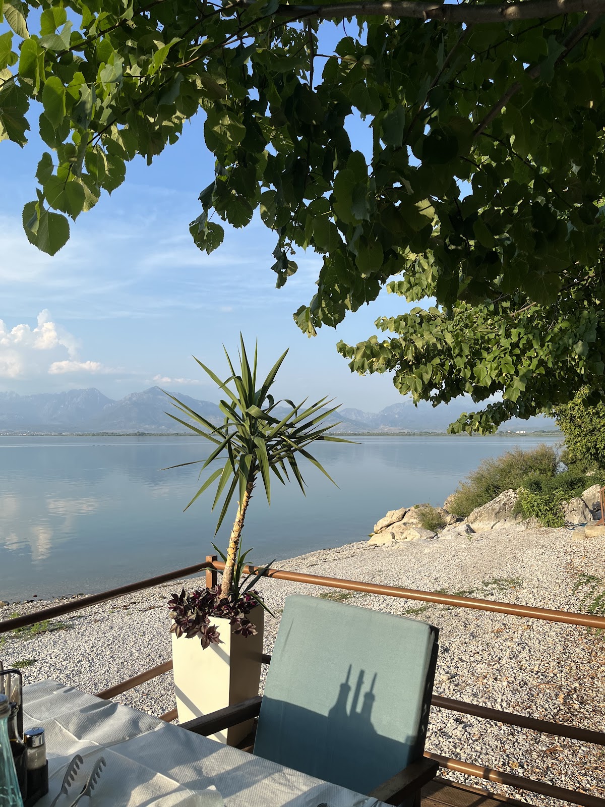 Restaurant Real "Te Hilmia" photo 5