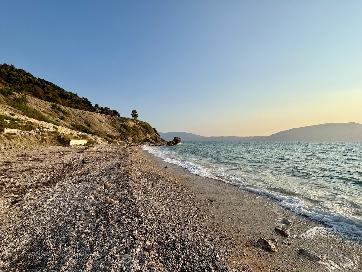 Wild beach photo 5