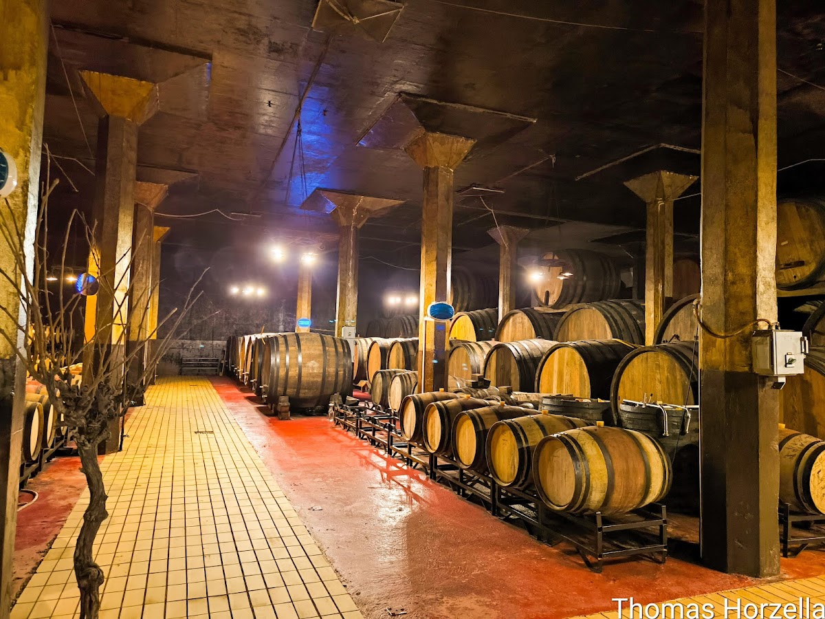 Stone Castle Vineyards and Winery — Atraksione në Rahovec — photo 3