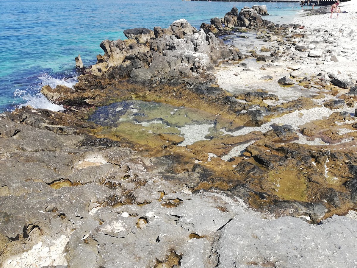 SQ Pebble Beach (Santa Quaranta)