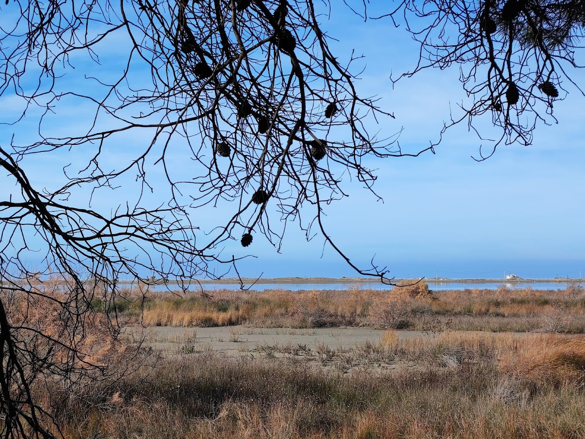 Seman Beach photo 5