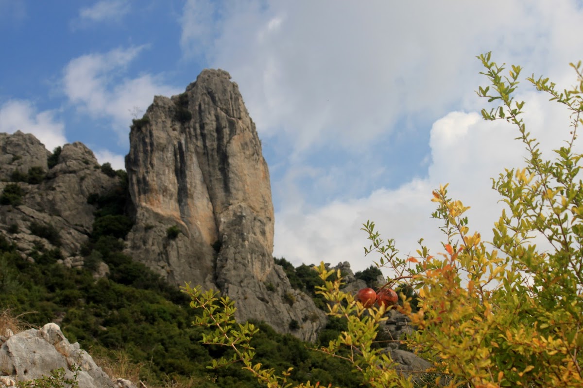 The Long Stone photo 3