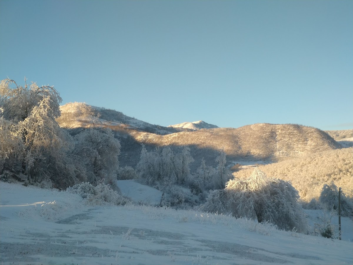 Limi ademi photo 5