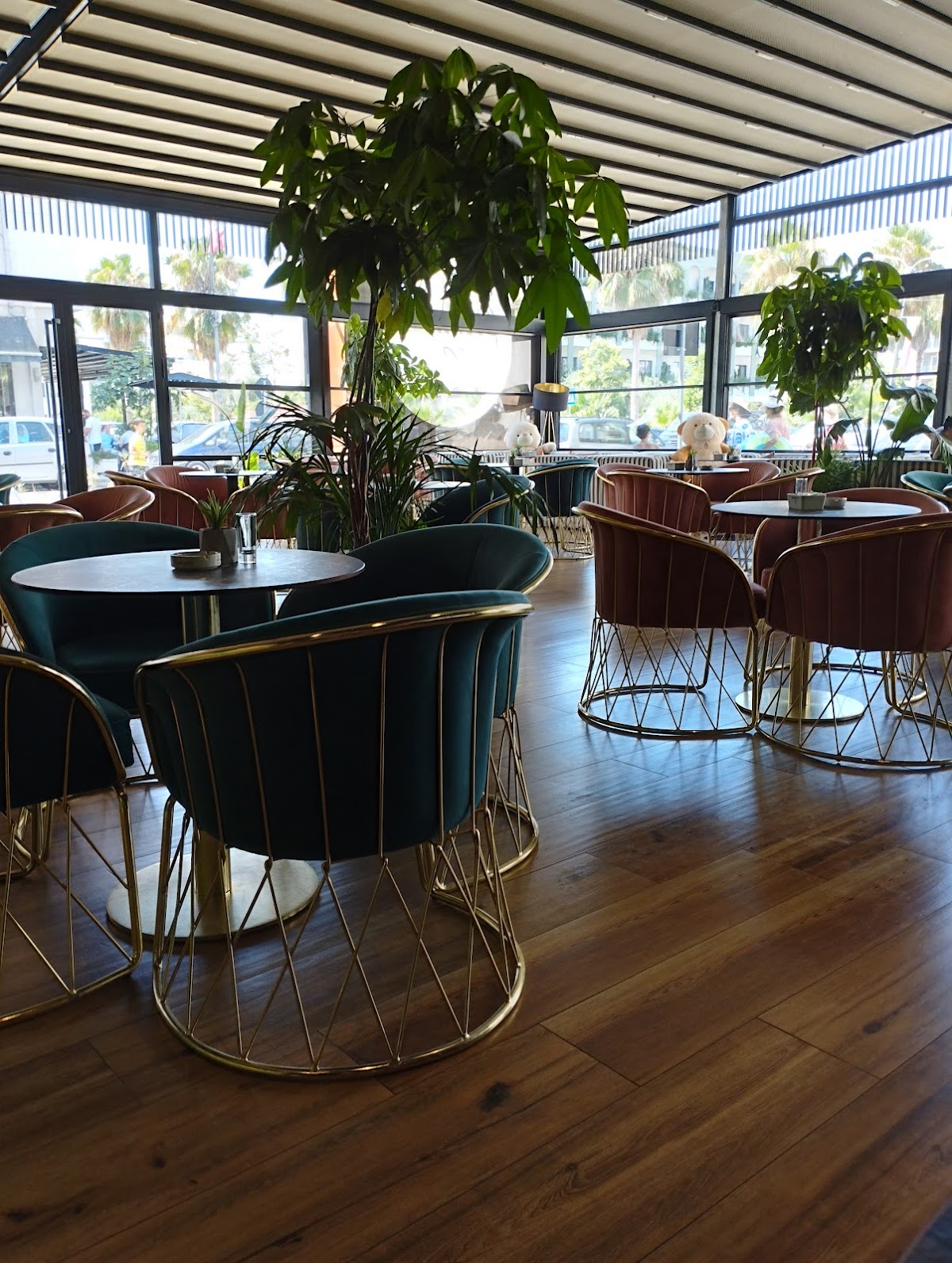 Bonita Lounge photo 3