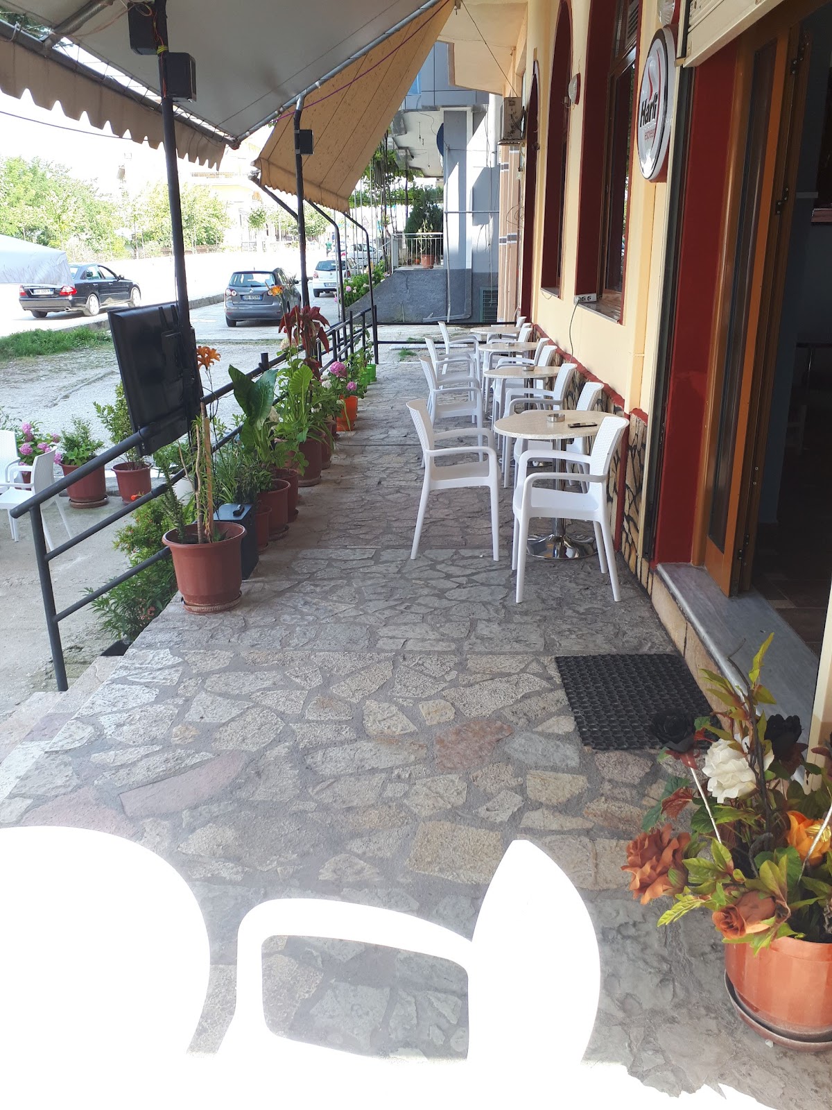 BAR - CAFE 31 photo 4